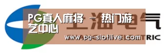 上汽电器